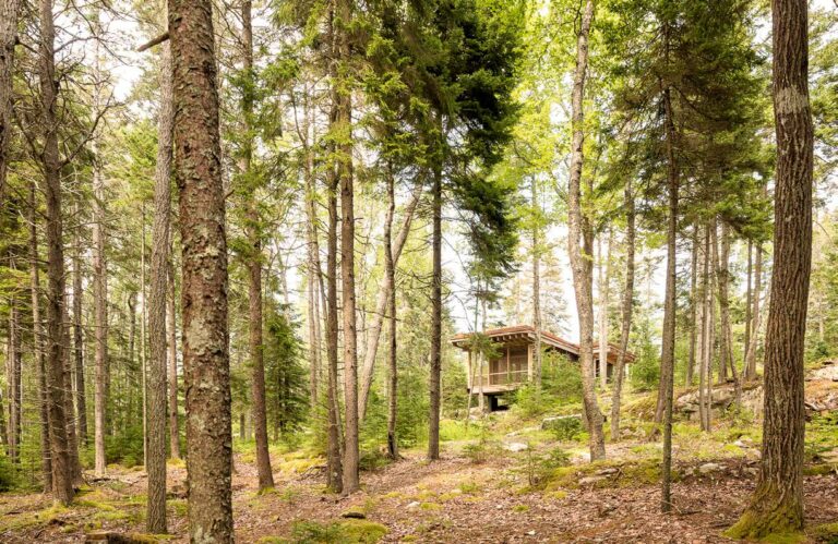 DWELL – A Tiny Cor-Ten Steel Cabin Is in Perfect Sync With the Surrounding Woods